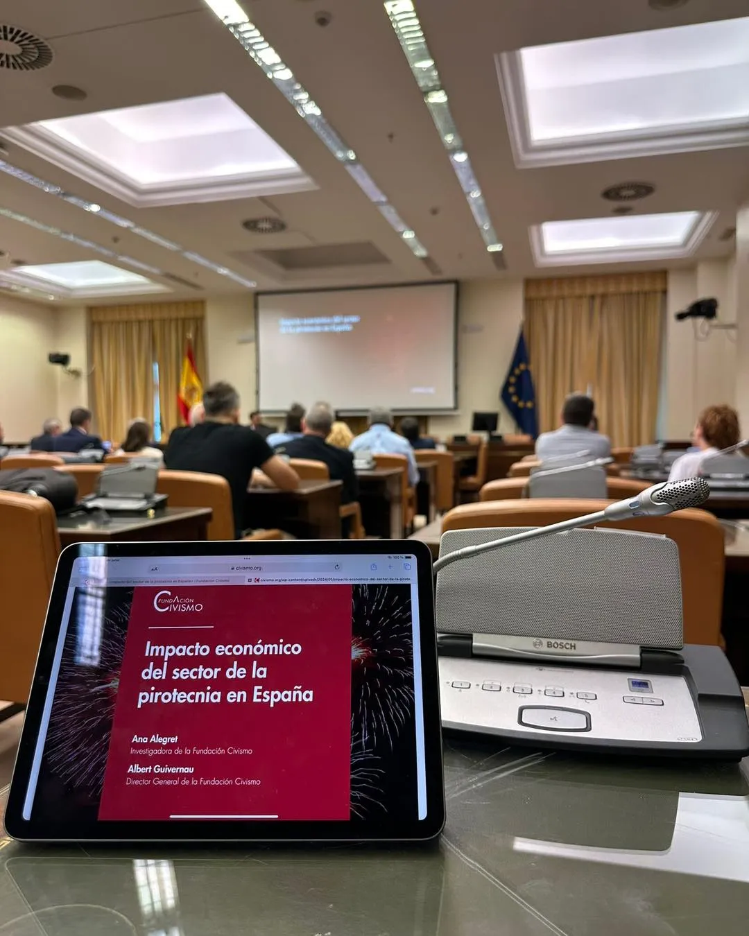 Impacto económico del sector de la pirotecnia en España 2024